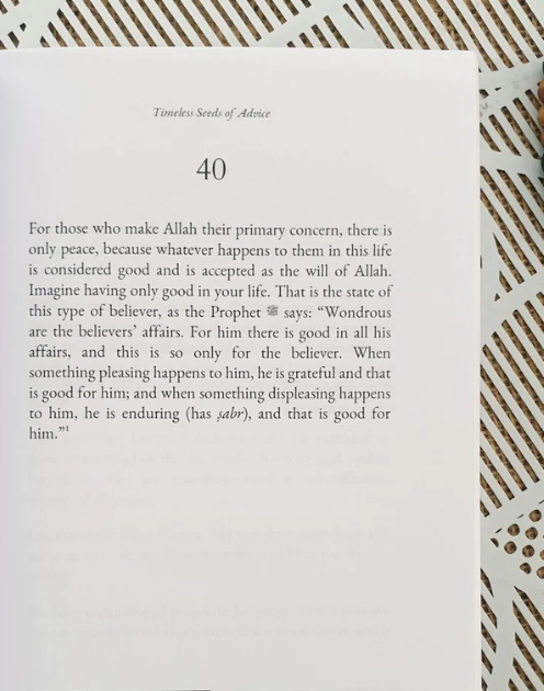 Timeless Seeds of Advice - Image 4