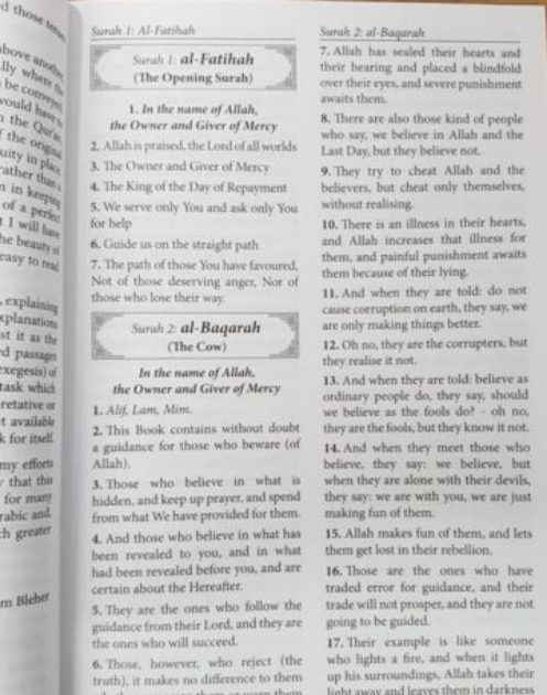 The Meaning Of The Wise Quran: English Only - Image 2