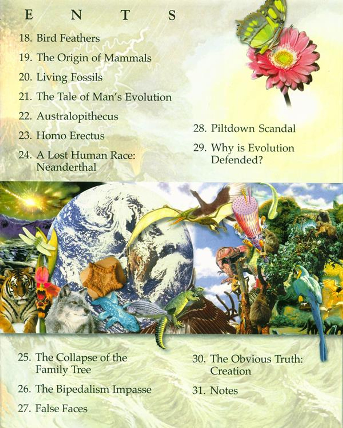 Tell Me About the Creation - Image 3