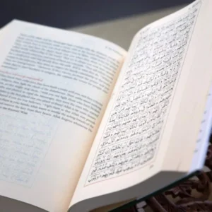 Translated Quran