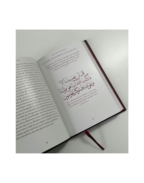 Why me? Omar suleiman - Image 2